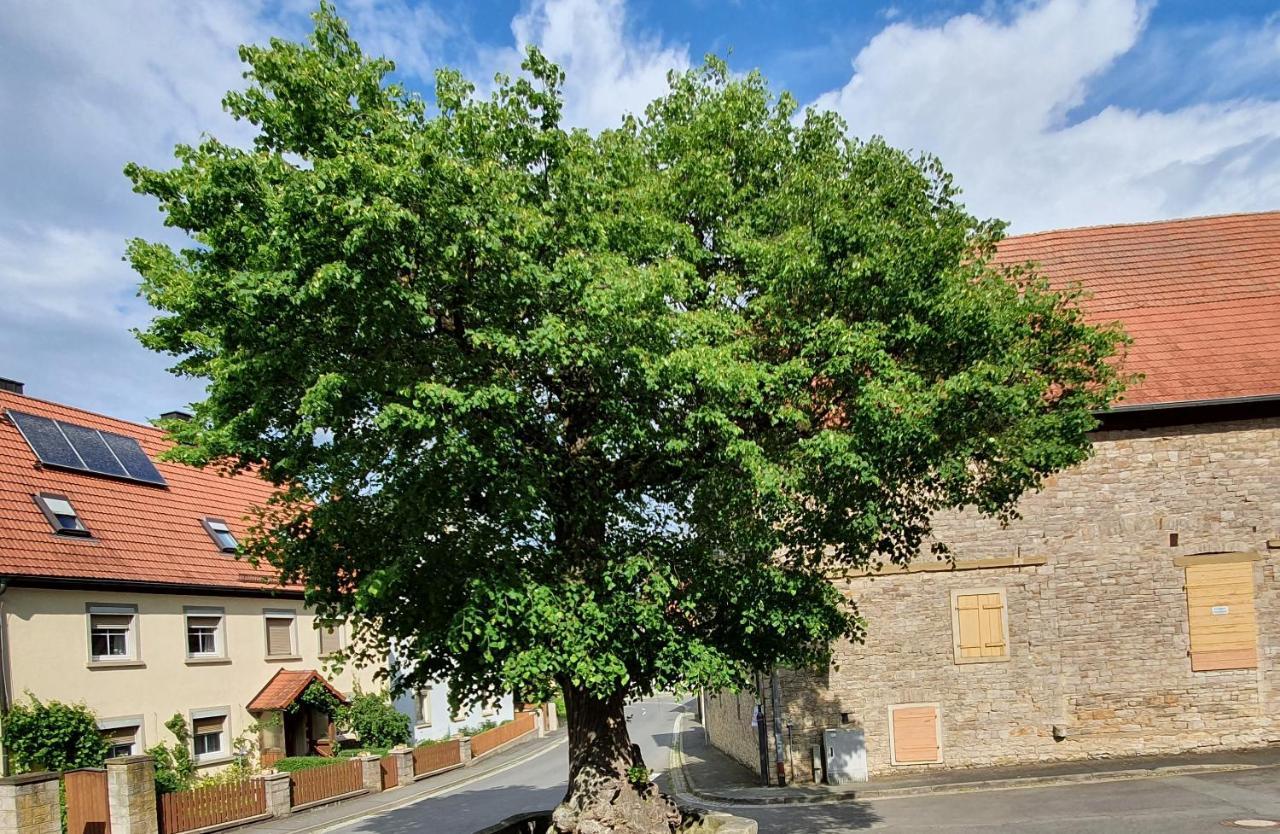 Ferienwohnung Zur Linde Dettelbach Exterior foto